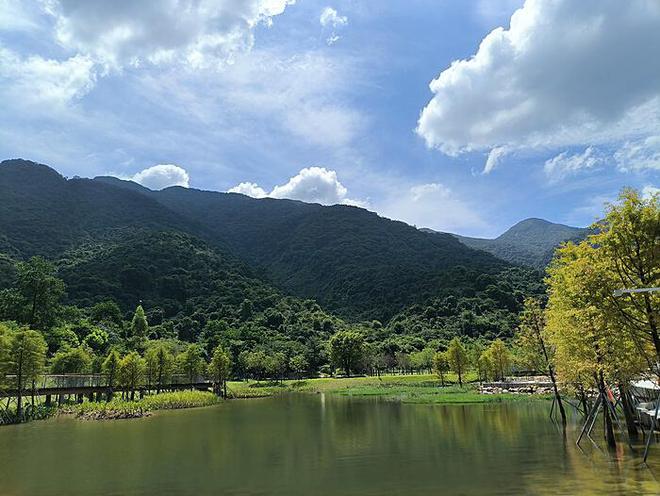 村民面对耕地种作物再荒废之痛